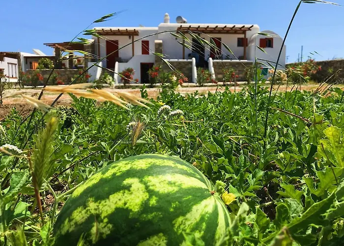 Apartamento Myconian Brothers *