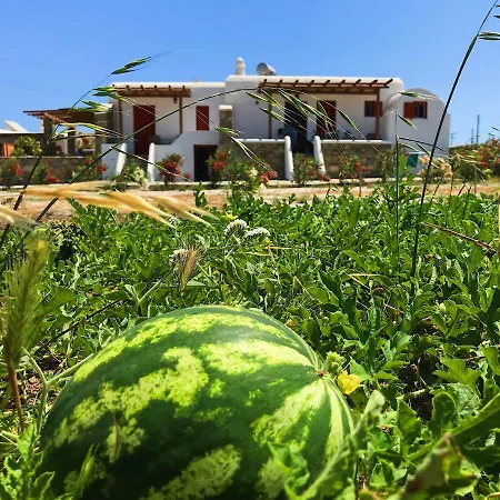 아파트 Myconian Brothers *